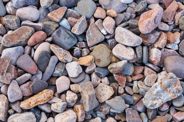 Textura de pequeñas piedras marinas — Foto de Stock