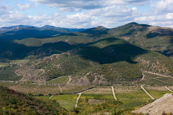 Prachtige vallei in de bergen met wijngaarden — Stockfoto