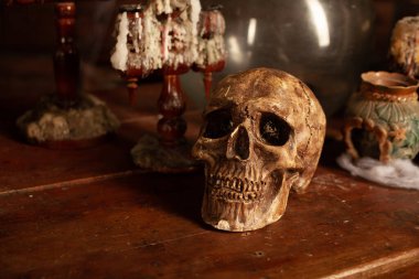 Cadılar Bayramı arkaplan rafları simya aletleriyle Kafatası örümcek ağı şişesi zehirli mumlarla cadıların çalışma odası