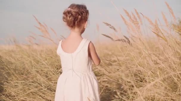 小女孩站在秋天的田野后视镜下 白人女孩与高草玩耍 后视镜自由的概念 — 图库视频影像