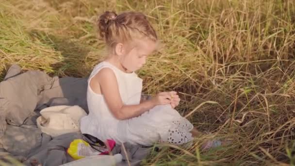 Mała dziewczynka siedzi koc piknikowy w wysokiej trawie żółty nastrój jesienny — Wideo stockowe