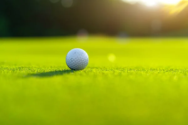 Balle Golf Sur Gazon Vert Jour Ensoleillé Été Personne — Photo