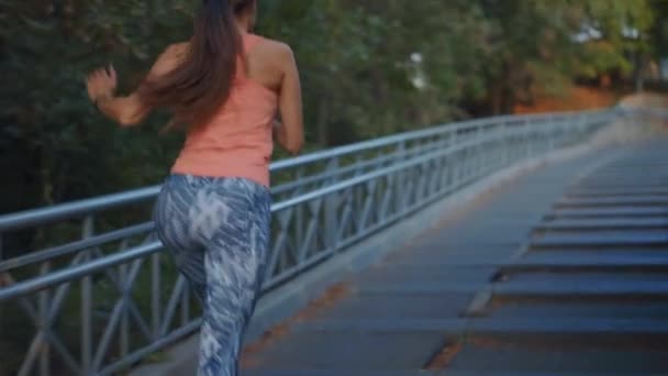 Mujer atleta corriendo escaleras arriba entrenamiento intenso ejercicio cardiovascular corredor femenino — Vídeo de stock