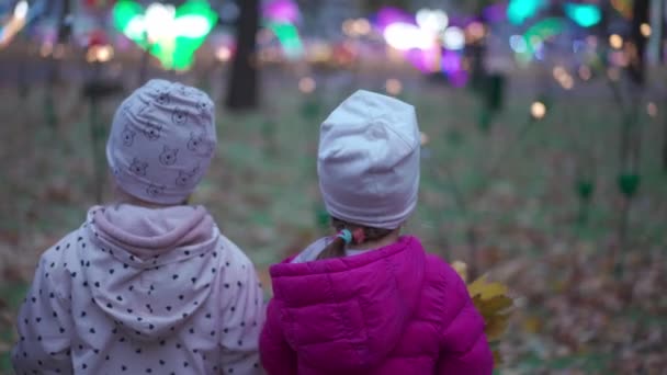 Дві маленькі дівчата стоять ззаду, дивлячись світлове шоу в осінньому парку — стокове відео