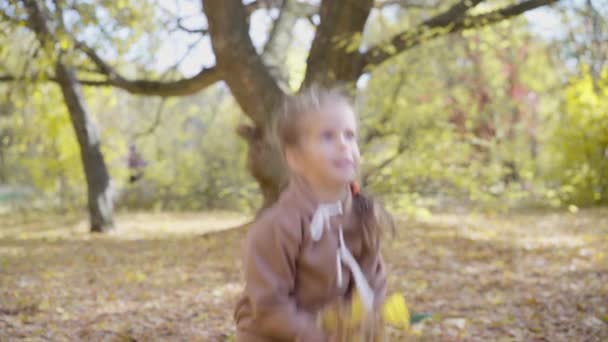 Dziewczyna rzuca jesienią żółte liście w górę i śmieje się, dziecko jest zabawy grając w miejskim parku przyrody na świeżym powietrzu — Wideo stockowe