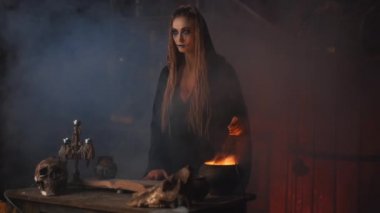 Cadılar Bayramı, cadı sihirli kitap ve kazan kullanın Zehir ya da aşk iksiri hazırlayın