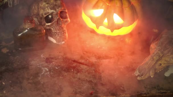 Halloween. Läskig halloween pumpa med snidat ansikte på bordet i mörkt rum med mänsklig skalle och djurskalle — Stockvideo