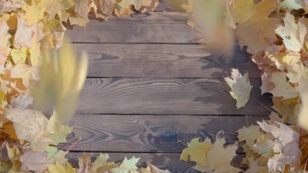 Rustic fall background autumn leaves over rustic background of barn wood — Stock Video