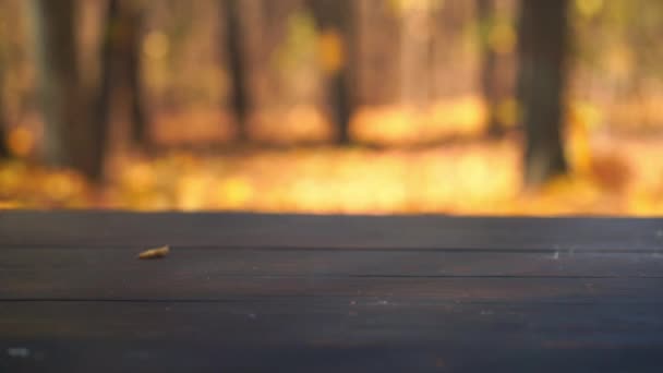 Rustik gammal trä bord utomhus med höstlöv faller i bakgrunden — Stockvideo