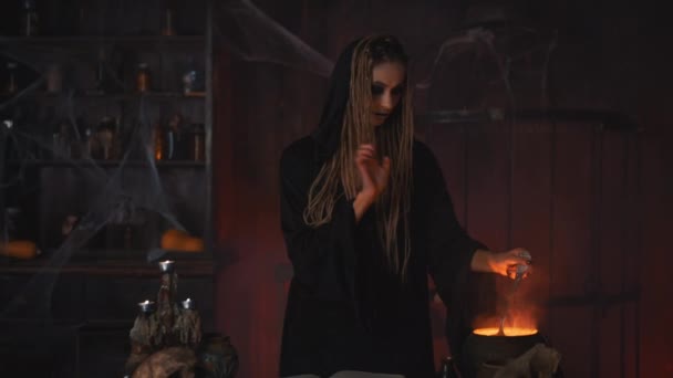 Halloween, čarodějnice použít magickou knihu a kotel připravit jed nebo elixír lásky — Stock video