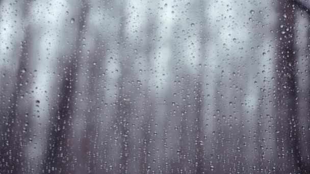 Σταγόνες βροχής πέφτουν στα παράθυρα του αυτοκινήτου. Επιλεκτική εστίαση. — Αρχείο Βίντεο