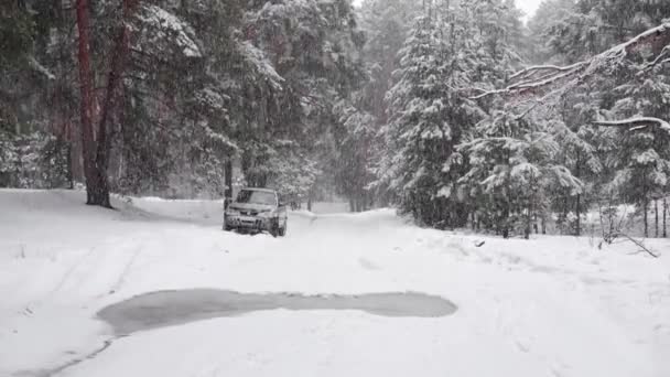 Vinterkörning. Offroad ridning på vintern skog snöig väg. En SUV bil stående landsväg i vinterskog med snöfall i slow motion — Stockvideo