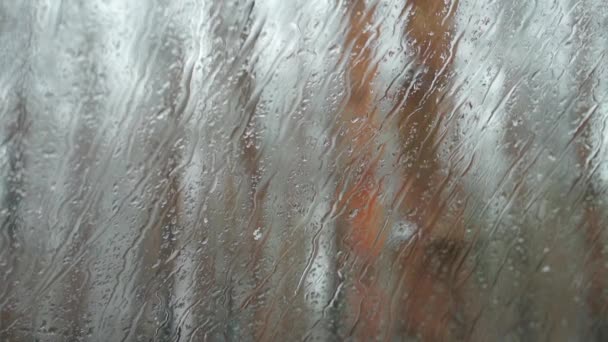 Des gouttes de pluie tombent sur les vitres. Concentration sélective. — Video