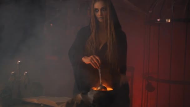 Halloween, Hexe verwenden Zauberbuch und Hexenkessel bereiten Gift oder Liebestrank zu — Stockvideo