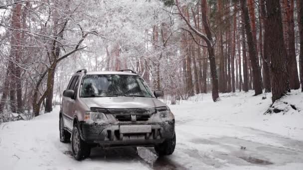 Vinterkörning. Offroad ridning på vintern skog snöig väg. En SUV bil stående landsväg i vinterskog med snöfall i slow motion — Stockvideo