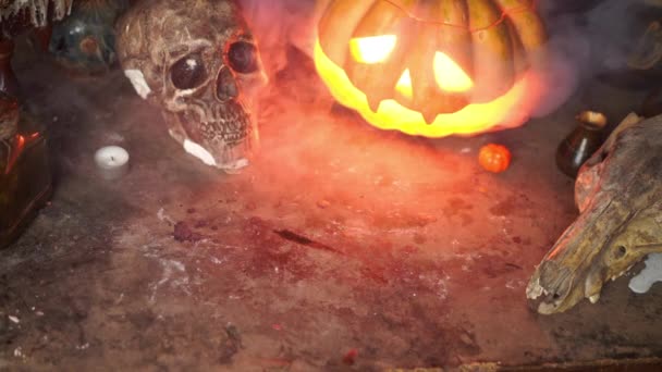 Halloween. Calabaza de Halloween de miedo con cara tallada en la mesa en habitación oscura con cráneo humano y cráneo de animal — Vídeos de Stock