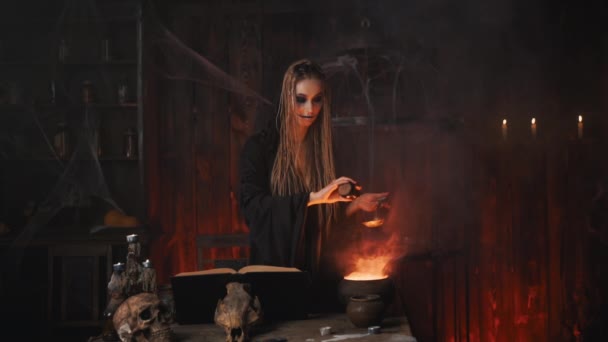 Halloween, čarodějnice použít magickou knihu a kotel připravit jed nebo elixír lásky — Stock video