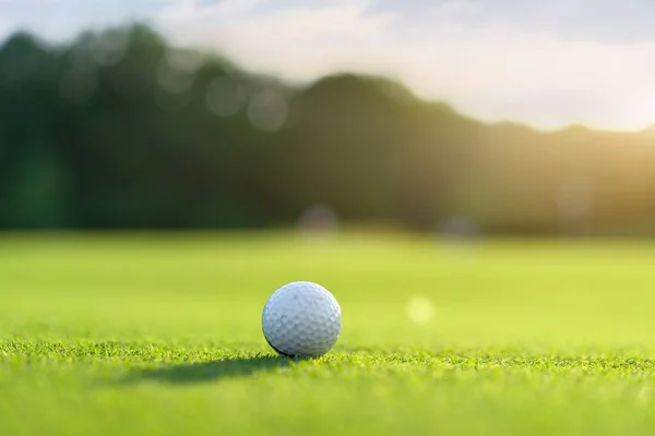 Balle Golf Sur Gazon Vert Jour Ensoleillé Été Personne — Photo