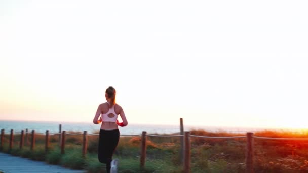 Runner Woman Running Sunny Path Road Ocean Sportswoman Evening Jogging — Stock Video