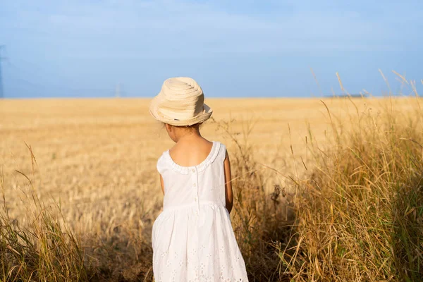 Liten Flicka Stående Gult Vete Fält Klädd Vit Klänning Och — Stockfoto