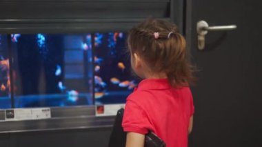 Çocuk, Küçük Kız AVM 'deki Akvaryumda Balık Bakıyor. Evcil hayvan dükkanı kızı akvaryumda yüzen balıklara bakıyor. deniz akvaryumu okyanus. Mutlu gülümseyen küçük kız deniz akvaryumuna bak