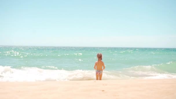 Back View Adorable Little Girl Sundy Atlantic Ocean Beach Summer — Stock Video
