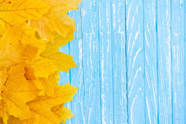 Autumn Leaves Frame One Left Side Wooden Blue Background Top — Stock Photo, Image