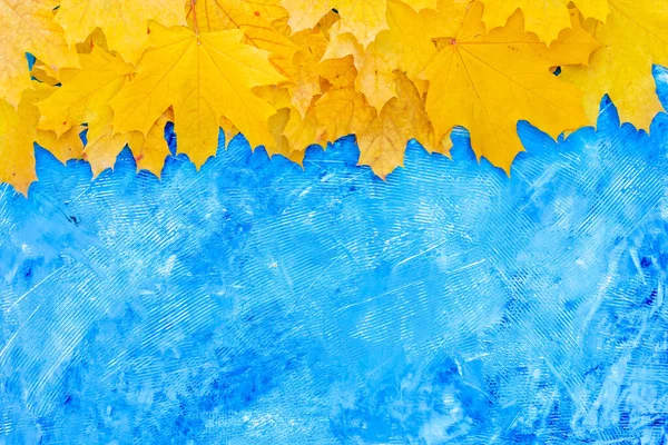 Jesienne Liście Ramki Górze Niebieski Strukturalny Tło Widok Góry Jesień — Zdjęcie stockowe