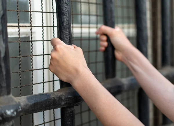 Woman Prison Hands Hold Steel Cage Jail Bars Offender Criminal —  Fotos de Stock