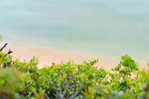 Veduta Aerea Delle Onde Del Mare Della Spiaggia Sabbiosa Oceano — Foto Stock