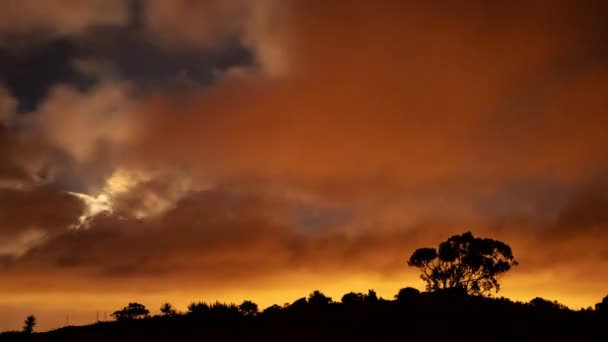 Beautiful Sunset Tropical Rain Forest Jungle Time Lapse Night Jungle — Stockvideo