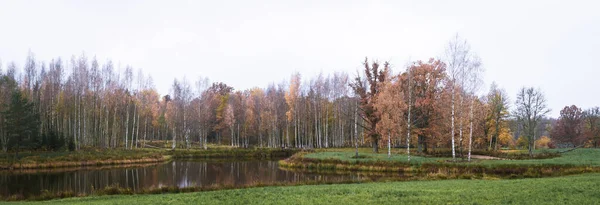 Pond Birch Grove Autumn Landscape Reflection Water November — Zdjęcie stockowe