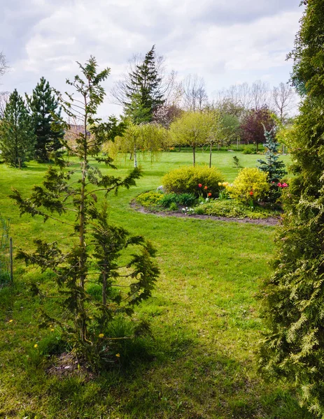 Prydnadsträdgård Sommaren Ett Stort Utbud Trädbuskar Och Växter Rabatt — Stockfoto