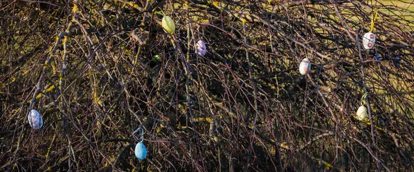 Velikonoční Ozdoby Jabloních Jaro Zahradě — Stock fotografie