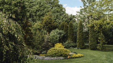Decorative backyard garden with various trees, shrubs and plants. Vintage effect.