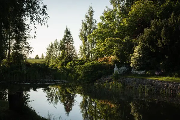 태양에 정원의 연못의 나무의 — 스톡 사진