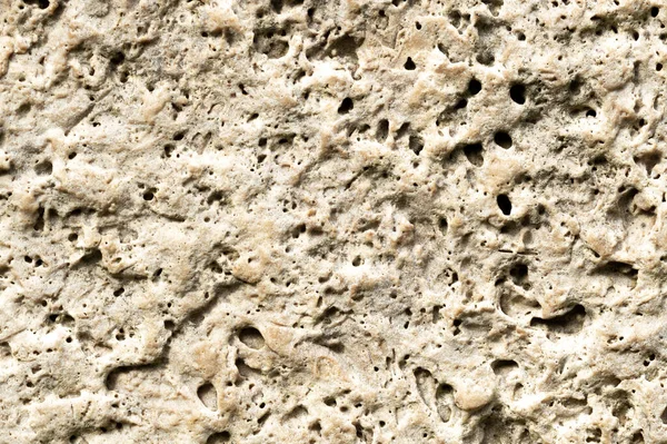 Texture Pietra Porosa Struttura Roccia Shell Foto Alta Qualità — Foto Stock