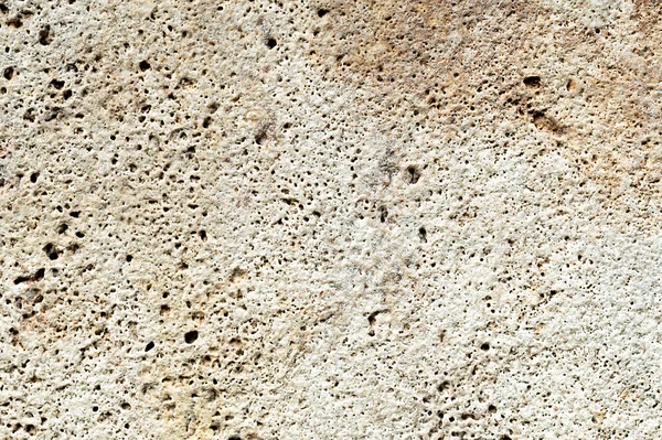 texture of porous stone. texture of shell rock. High quality photo