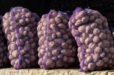 Büyük torbalar dolusu taze patates. Yüksek kalite fotoğraf