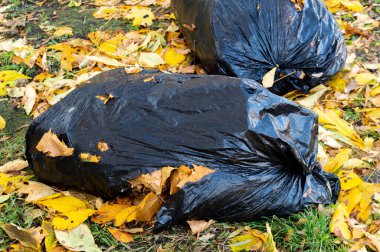 Sonbahar yapraklarında çöp dolu büyük hasarlı plastik torba. Yüksek kalite fotoğraf