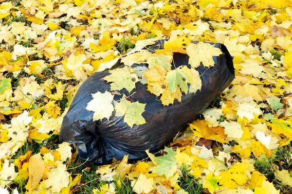 Великий Пластиковий Пакет Сміттям Осінньому Листі Високоякісна Фотографія Ліцензійні Стокові Зображення