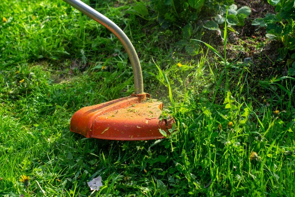 Gräset klipps med en trimmer — Stockfoto