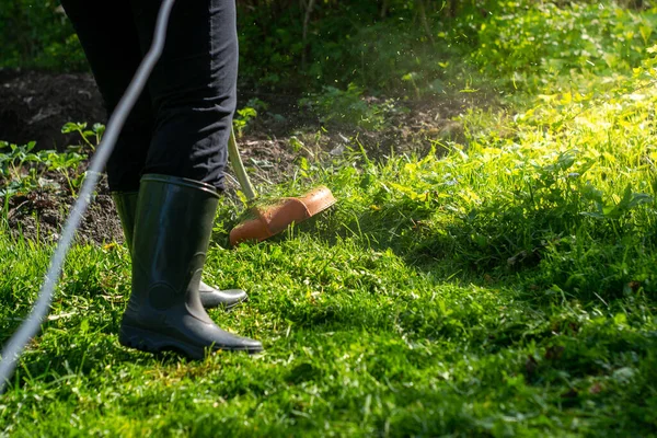 Het gras is gemaaid met een trimmer — Stockfoto