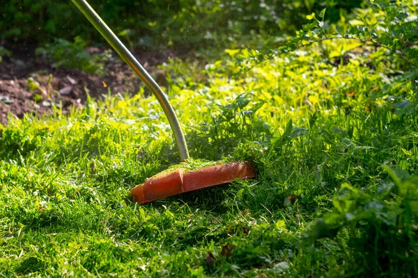 L'erba è falciata con un trimmer — Foto Stock