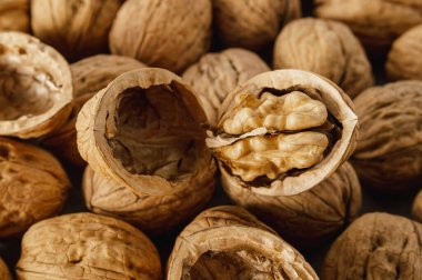 Kabuklu organik ceviz