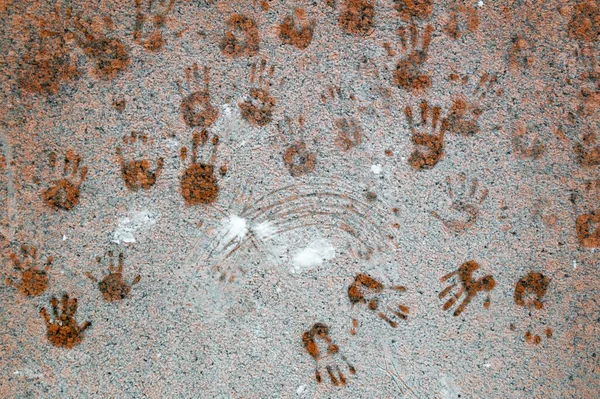 Palmiye izleri olan donmuş taş yüzeyi. Soyut arkaplan. Yüksek kalite fotoğraf