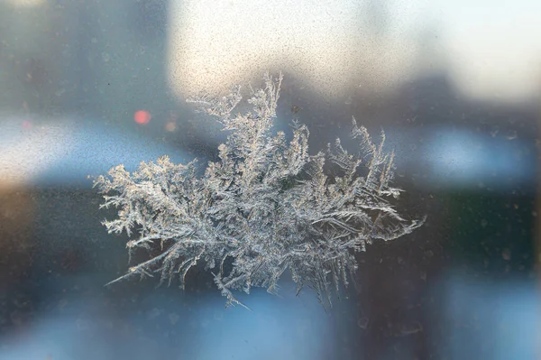 Frost pattern on glass — стоковое фото
