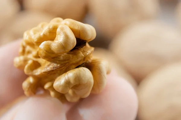 Close-up of peeled walnut — Stock Photo, Image