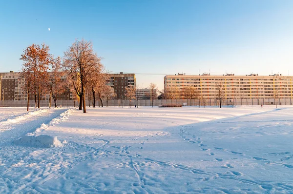 Şehir parkında kış manzarası — Stok fotoğraf
