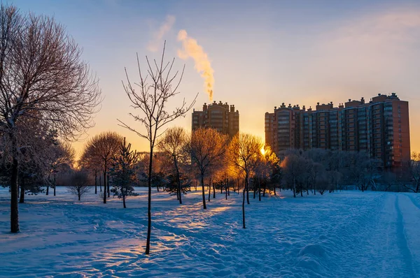 Magnifique coucher de soleil d'hiver dans le parc de la ville — Photo